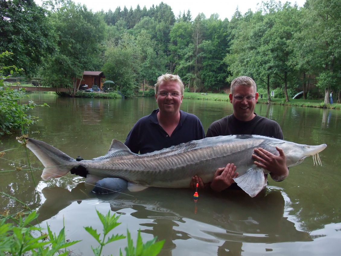 Veranstaltungskalender